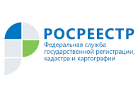 Как поступить на государственную гражданскую службу в Управление Росреестра по Курской области.